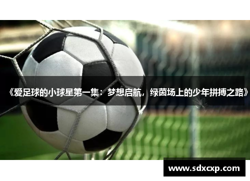 《爱足球的小球星第一集：梦想启航，绿茵场上的少年拼搏之路》